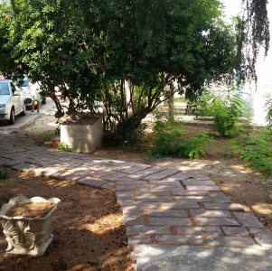 gallery/20160827_144846