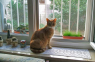 gallery/emy